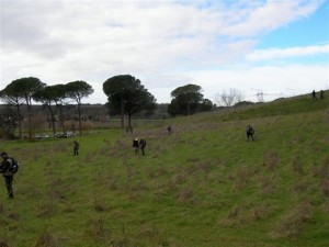 DSCN2798