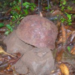 DSCN3668