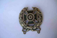 Distintivo al merito USA