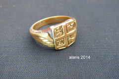 rex-alaris-3