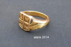 rex-alaris-4